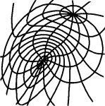 warped grid