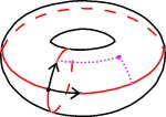 torus coordinates